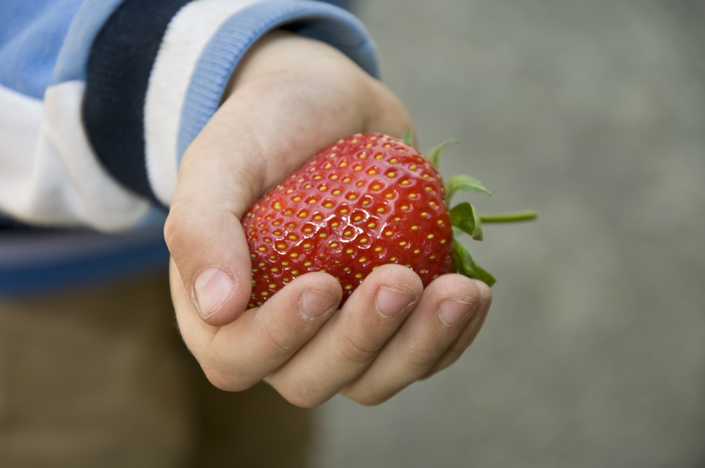 Autism and Food Intolerance